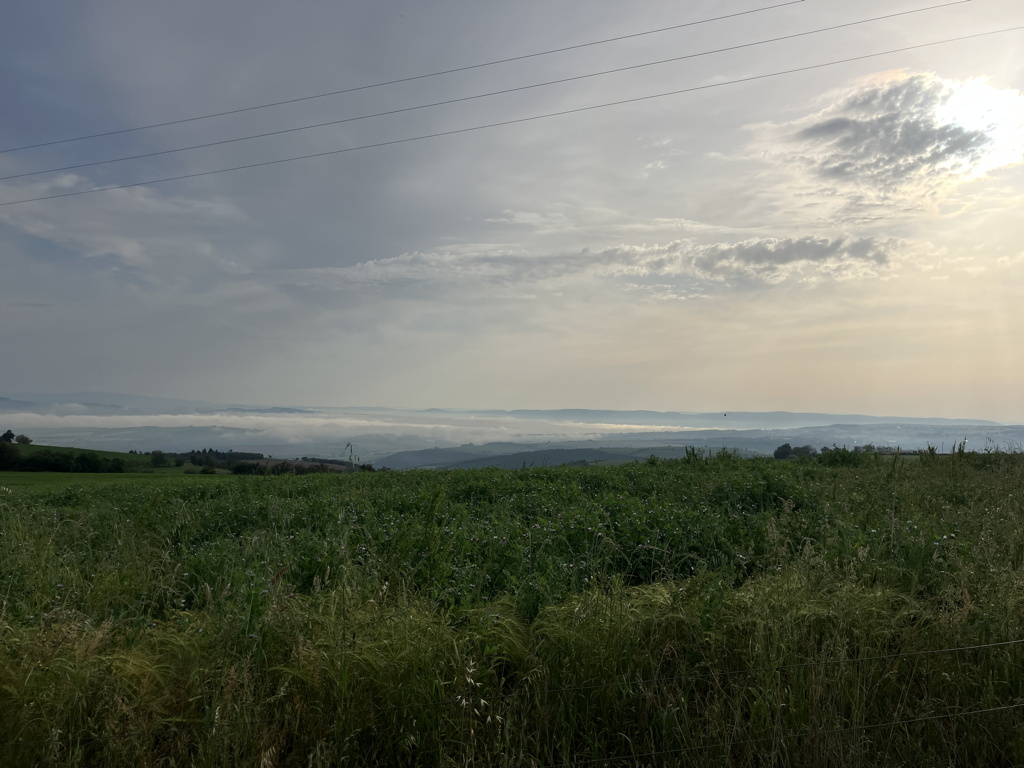 20250601_080008